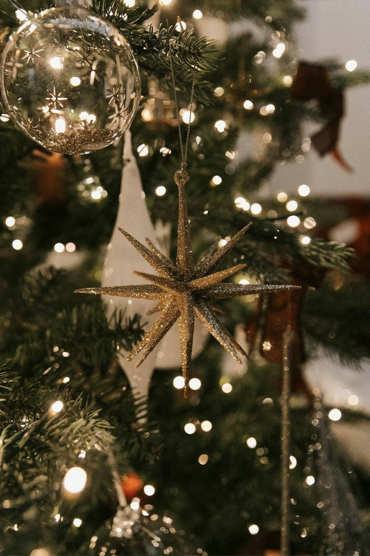 CHRISTMAS EDITION 2025 🎄