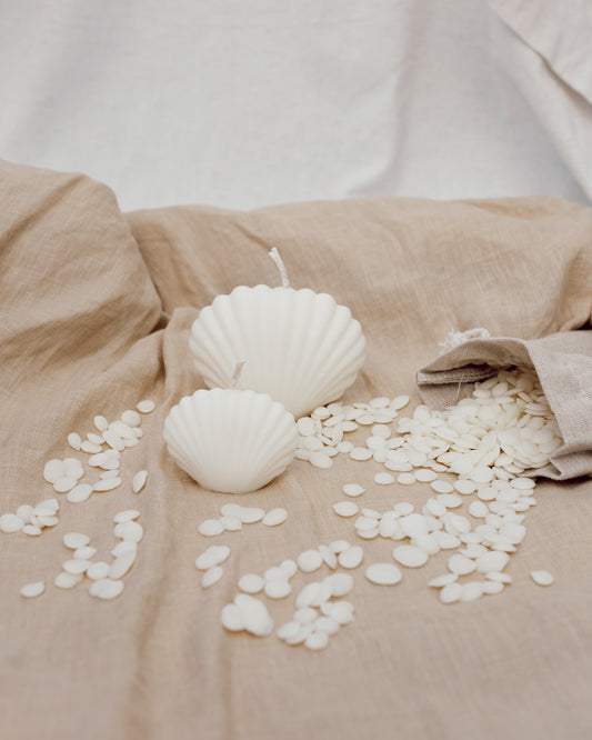 Coquillage Gaïa