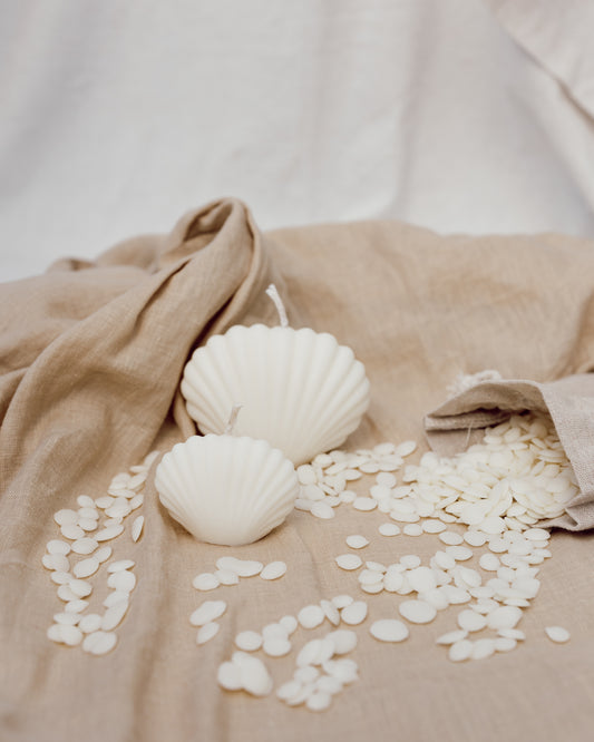 Coquillage Gaïa