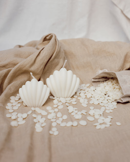 Coquillage Hestia